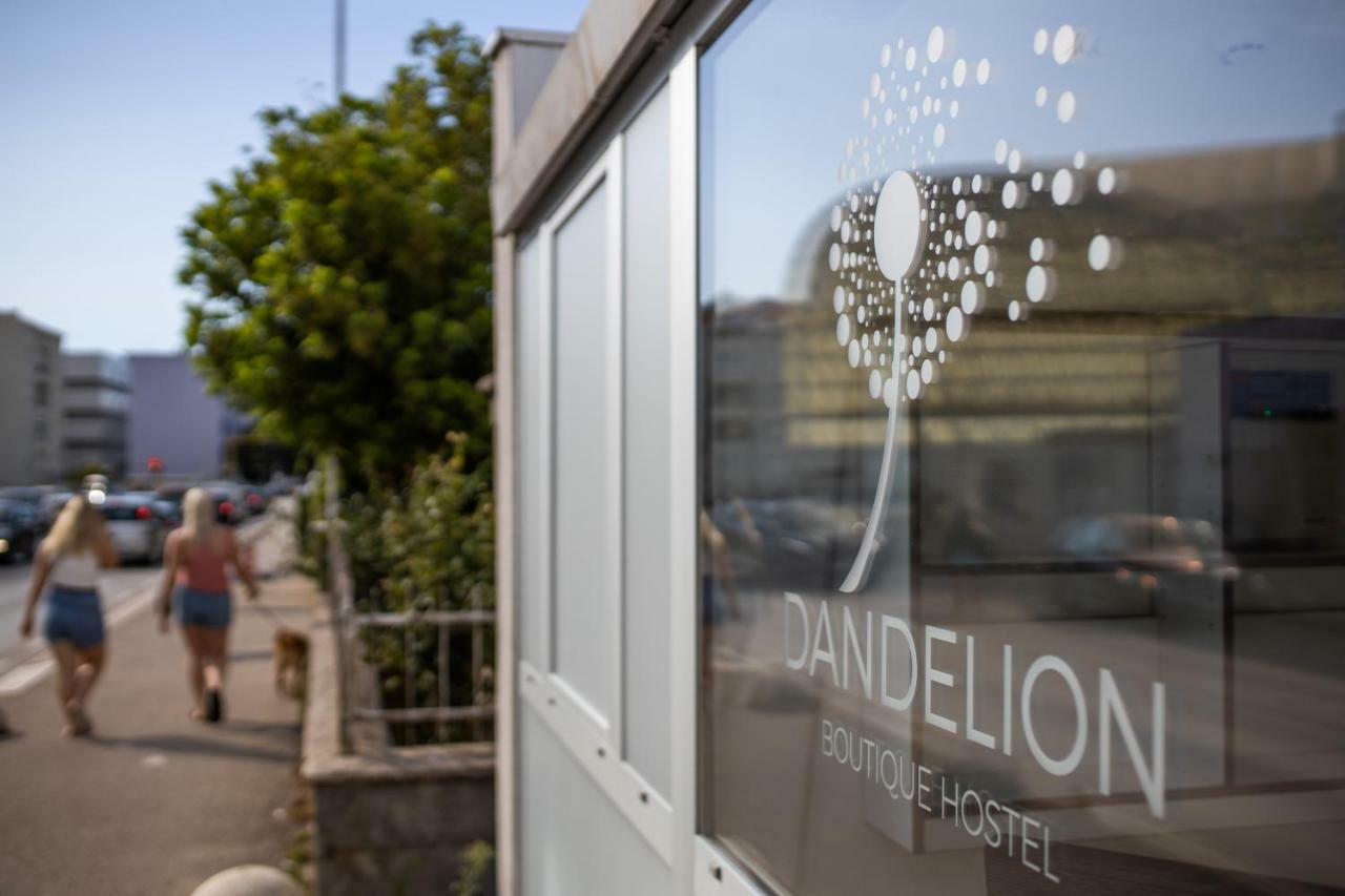 הוסטל זאדאר Dandelion מראה חיצוני תמונה