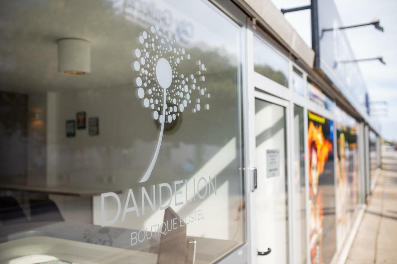 הוסטל זאדאר Dandelion מראה חיצוני תמונה